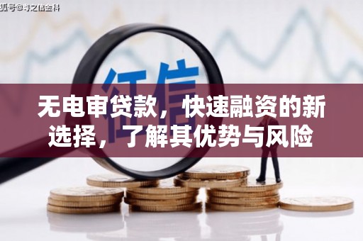 浉河无电审贷款，快速融资的新选择，了解其优势与风险