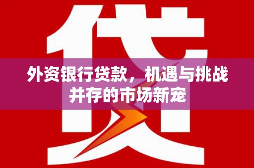 浉河外资银行贷款，机遇与挑战并存的市场新宠