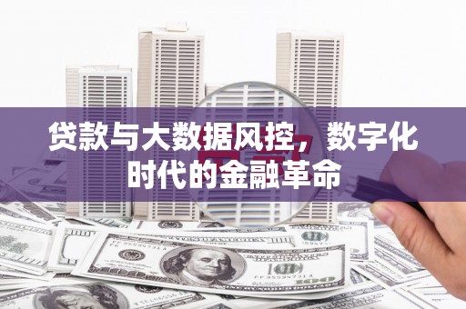 浉河贷款与大数据风控，数字化时代的金融革命