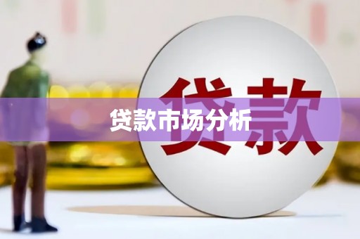 浉河贷款市场分析