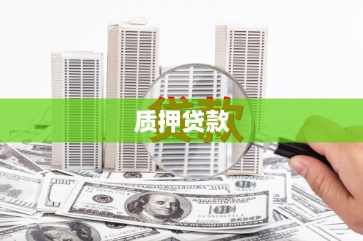 浉河质押贷款