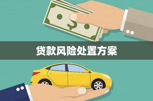 浉河贷款风险处置方案