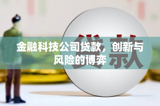 浉河金融科技公司贷款，创新与风险的博弈