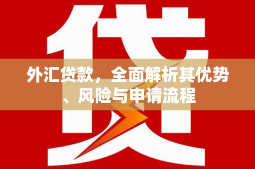 浉河外汇贷款，全面解析其优势、风险与申请流程