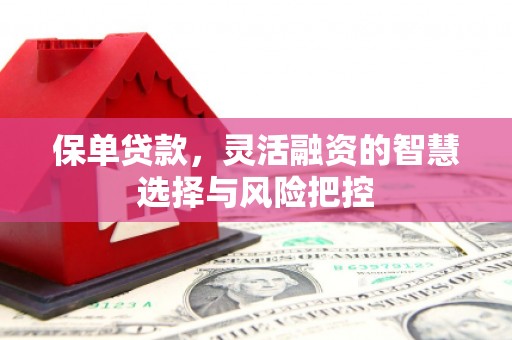 浉河保单贷款，灵活融资的智慧选择与风险把控