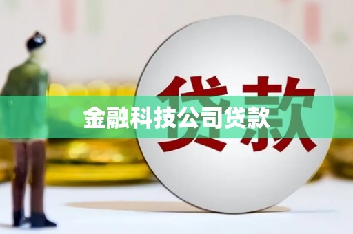 浉河金融科技公司贷款