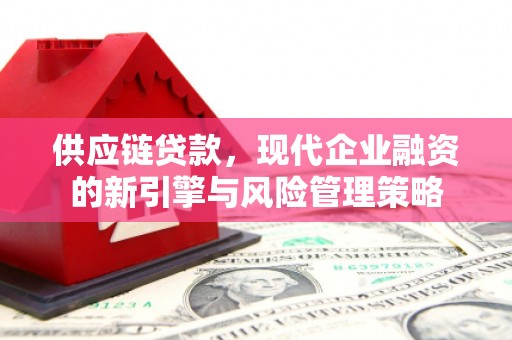 浉河供应链贷款，现代企业融资的新引擎与风险管理策略