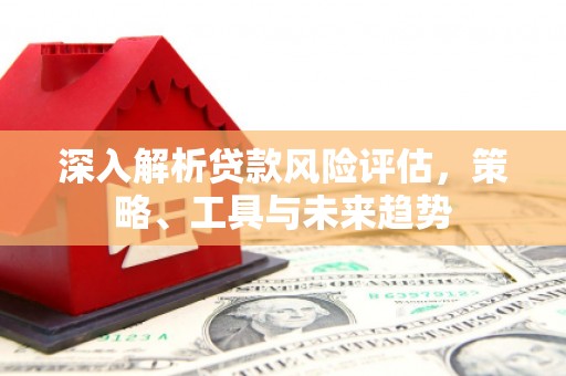 浉河深入解析贷款风险评估，策略、工具与未来趋势