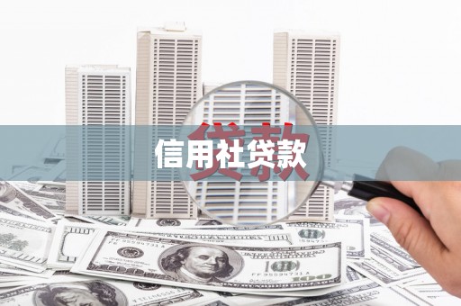 浉河信用社贷款