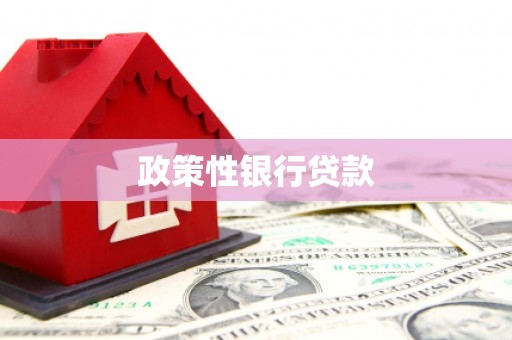 浉河政策性银行贷款