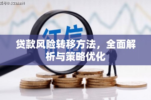 浉河贷款风险转移方法，全面解析与策略优化