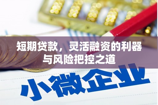浉河短期贷款，灵活融资的利器与风险把控之道