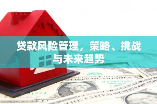 浉河贷款风险管理，策略、挑战与未来趋势