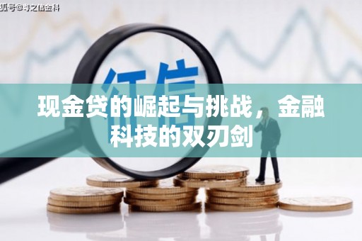 浉河现金贷的崛起与挑战，金融科技的双刃剑