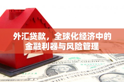 浉河外汇贷款，全球化经济中的金融利器与风险管理