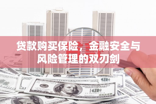 浉河贷款购买保险，金融安全与风险管理的双刃剑
