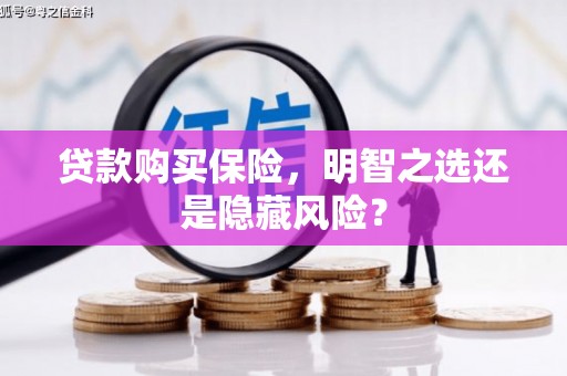 浉河贷款购买保险，明智之选还是隐藏风险？