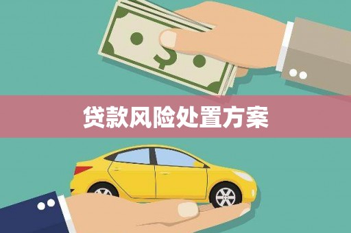 浉河贷款风险处置方案