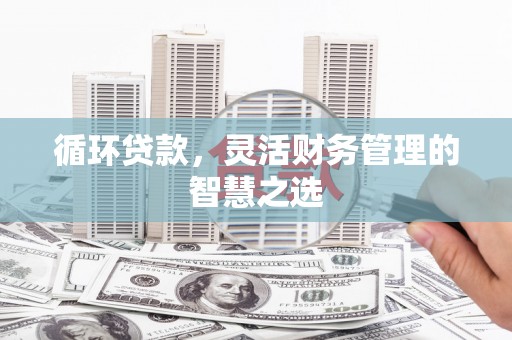 浉河循环贷款，灵活财务管理的智慧之选