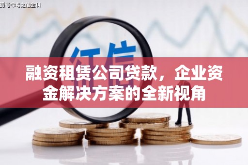 浉河融资租赁公司贷款，企业资金解决方案的全新视角