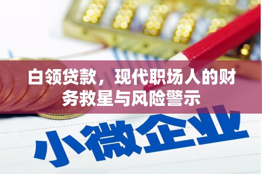 浉河白领贷款，现代职场人的财务救星与风险警示