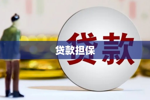 浉河贷款担保