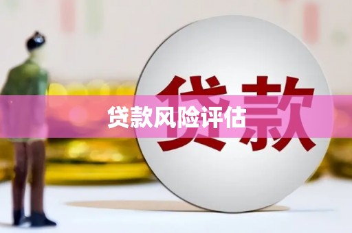 浉河贷款风险评估