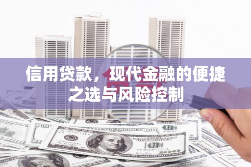 浉河信用贷款，现代金融的便捷之选与风险控制