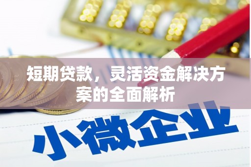 浉河短期贷款，灵活资金解决方案的全面解析
