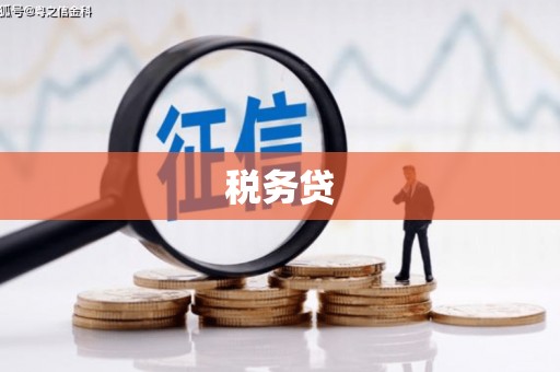 浉河税务贷