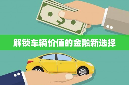 浉河解锁车辆价值的金融新选择