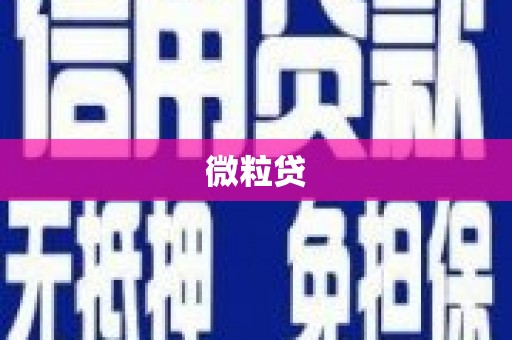 浉河微粒贷