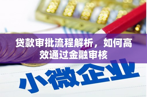 浉河贷款审批流程解析，如何高效通过金融审核