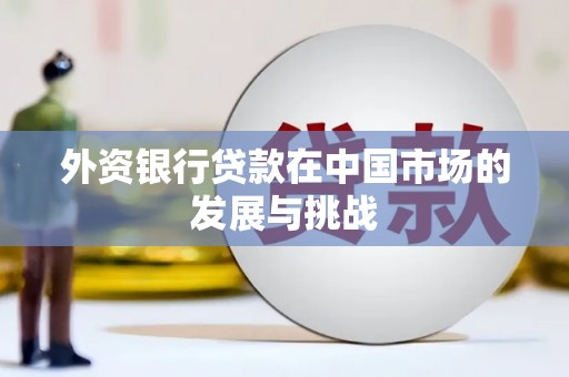 浉河外资银行贷款在中国市场的发展与挑战
