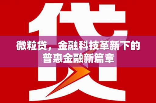 浉河微粒贷，金融科技革新下的普惠金融新篇章