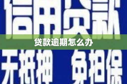 浉河贷款逾期怎么办