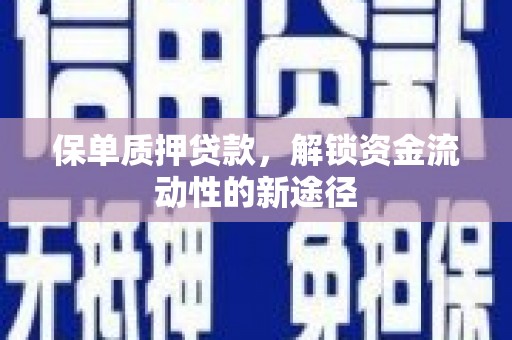 浉河保单质押贷款，解锁资金流动性的新途径