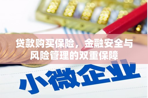 浉河贷款购买保险，金融安全与风险管理的双重保障