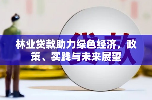 浉河林业贷款助力绿色经济，政策、实践与未来展望