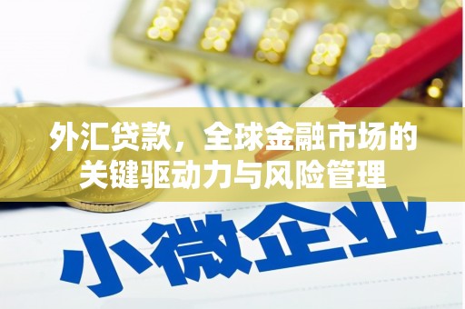 浉河外汇贷款，全球金融市场的关键驱动力与风险管理