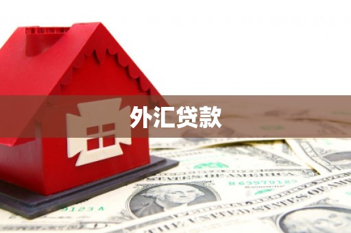 浉河外汇贷款