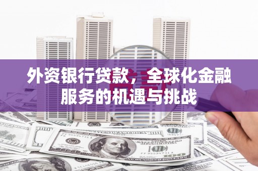 浉河外资银行贷款，全球化金融服务的机遇与挑战