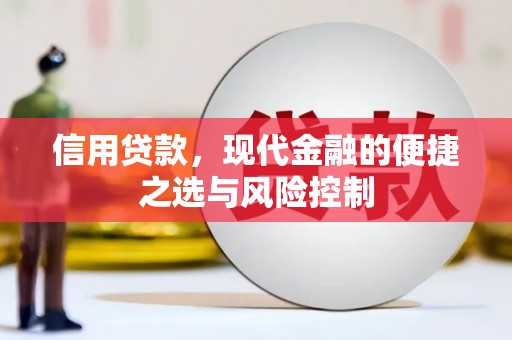 浉河信用贷款，现代金融的便捷之选与风险控制