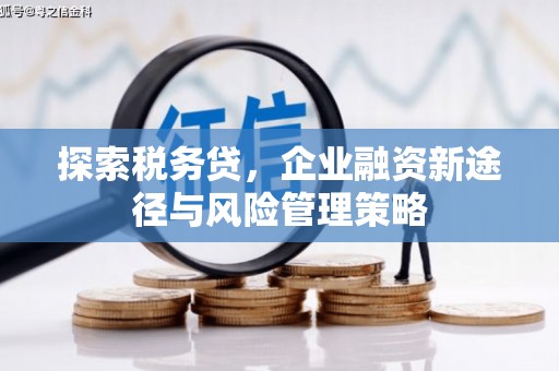 浉河探索税务贷，企业融资新途径与风险管理策略