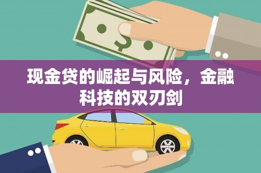 浉河现金贷的崛起与风险，金融科技的双刃剑