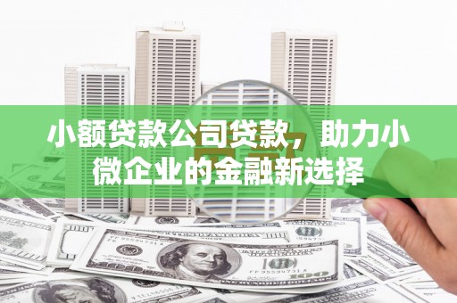 浉河小额贷款公司贷款，助力小微企业的金融新选择