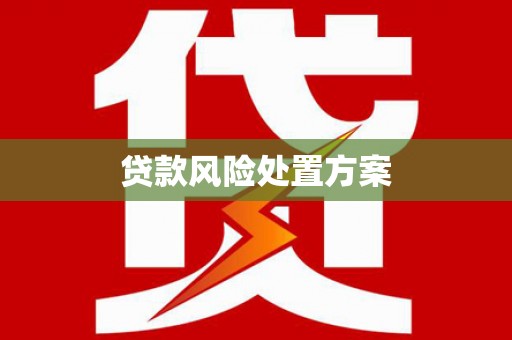 浉河贷款风险处置方案