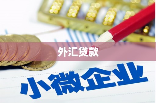 浉河外汇贷款