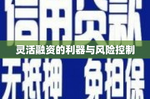 浉河灵活融资的利器与风险控制