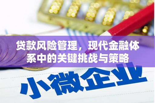 浉河贷款风险管理，现代金融体系中的关键挑战与策略
